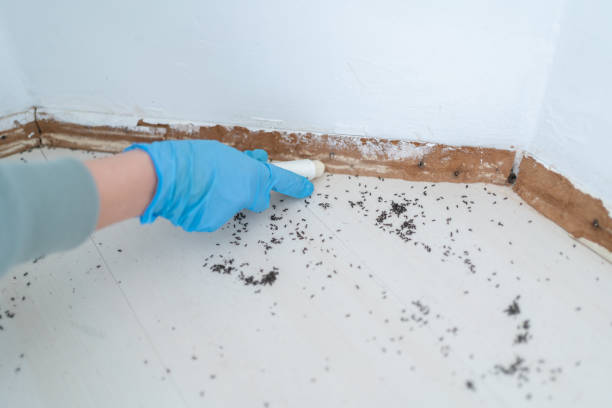 Best Exterminator Services  in Satsuma, AL